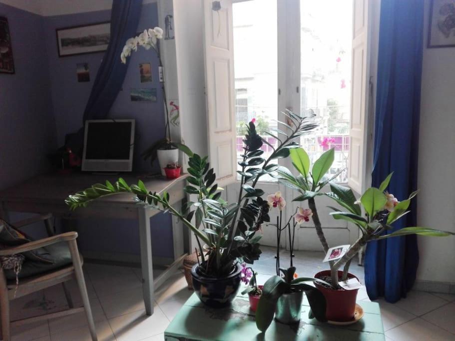 Joyfull Home In The Historical Center Naples Luaran gambar